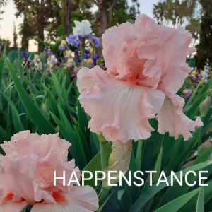 HAPPENSTANCE