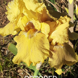 OCTOBER