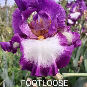 FOOTLOOSE