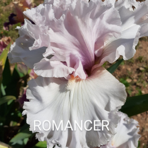 ROMANCER