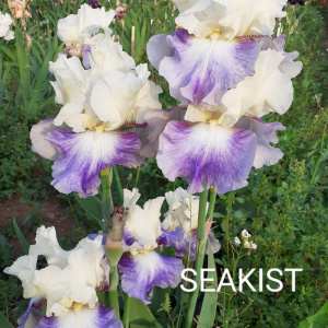 SEAKIST