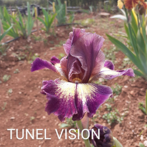TUNEL VISION