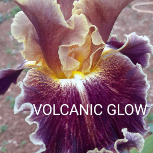VOLCANIC GLOW