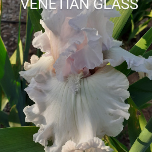VENETIAN GLASS